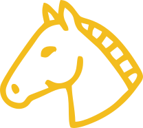 Horse Riding