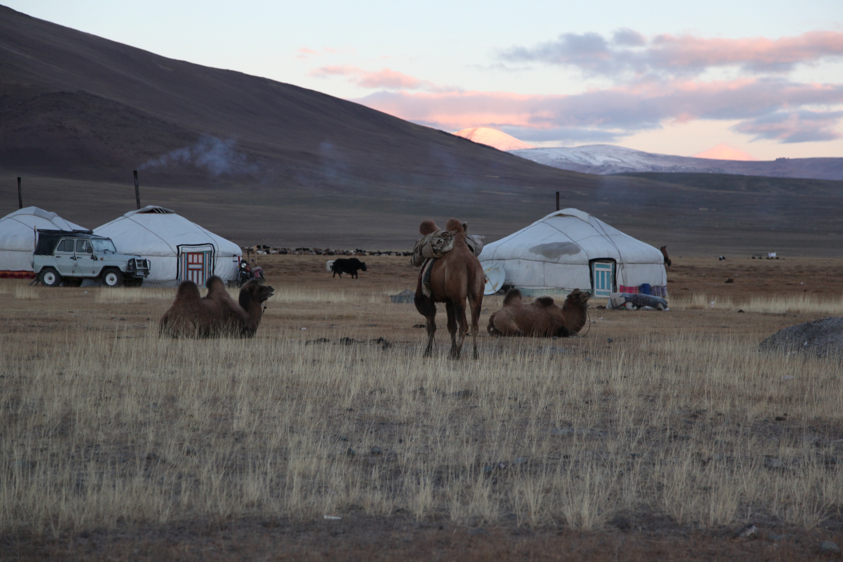 Experience Authentic Nomadic Life with a Local Family
