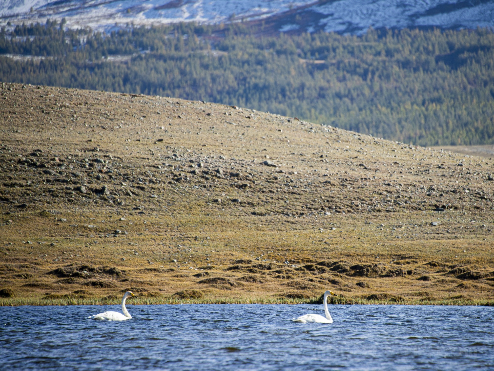Photo DSC_0414