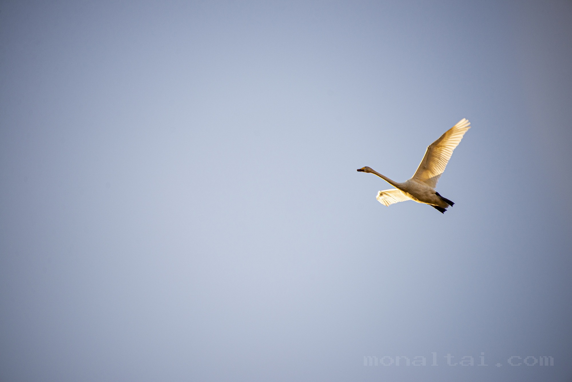 Photo DSC_0476