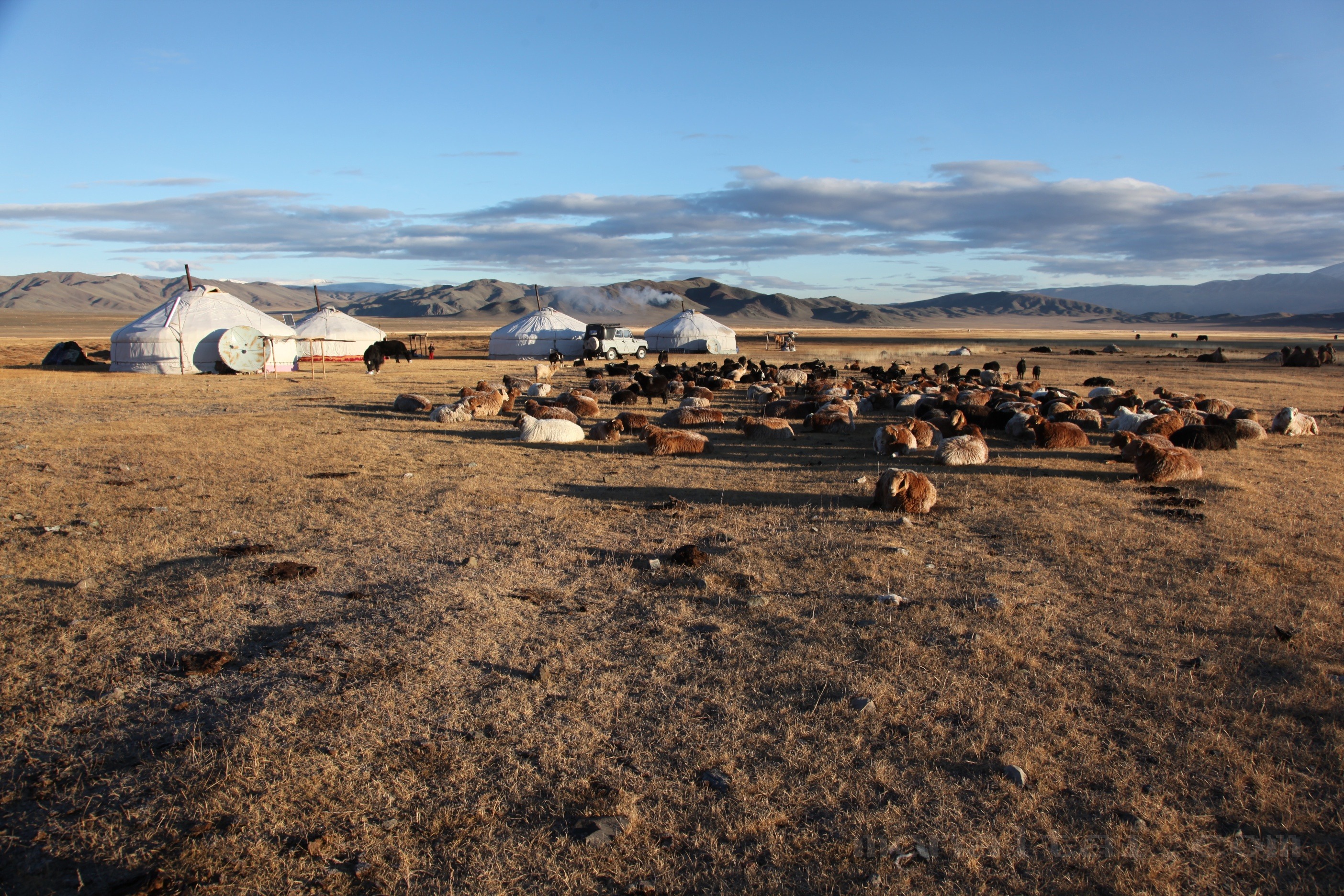 NOMADIC FAMILY HOMESTAY photo 1
