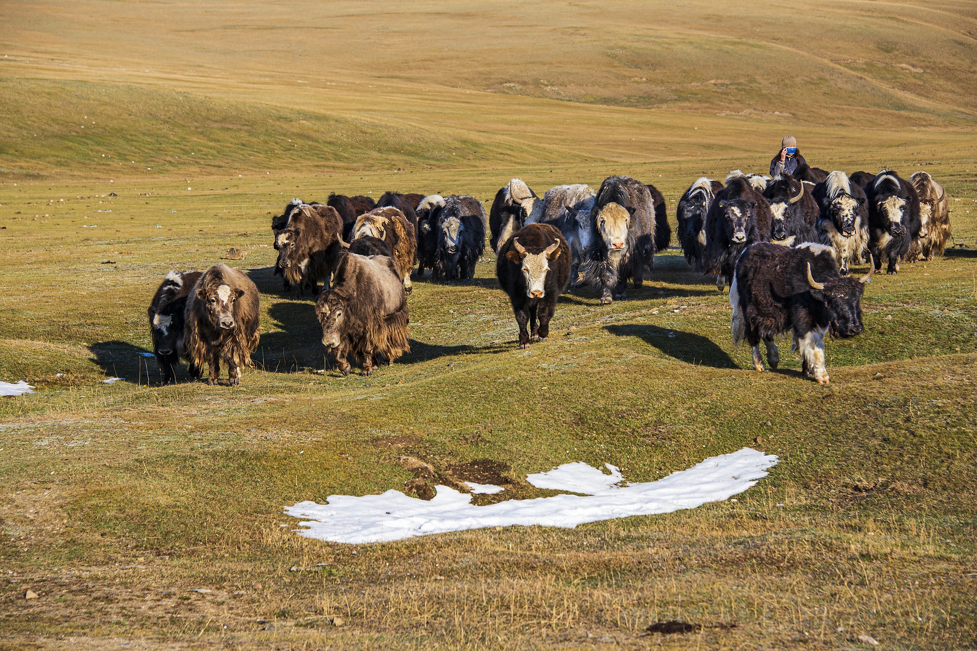 WESTERN MONGOLIA PHOTOGRAPHY TOUR photo 20