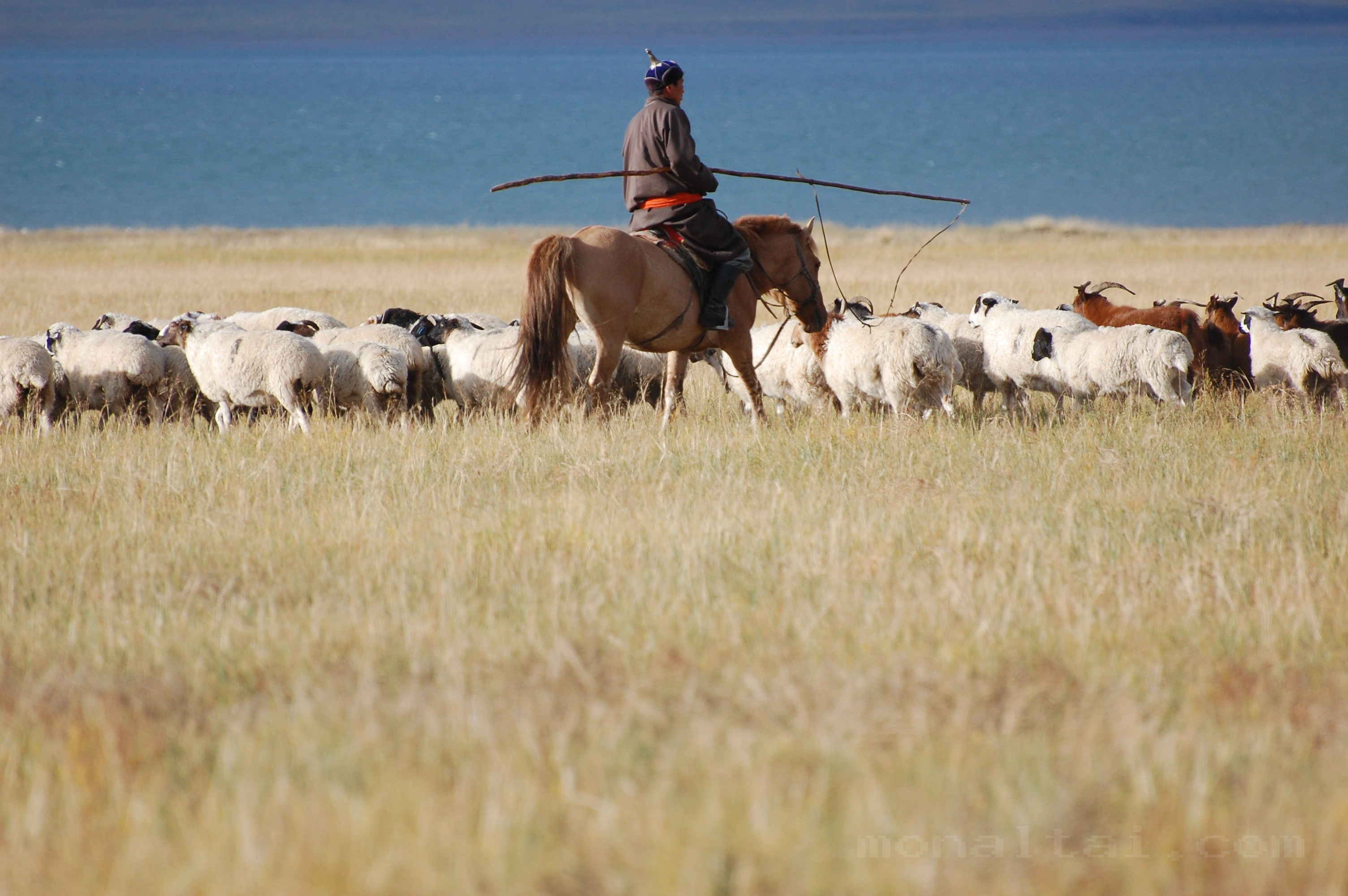 WESTERN MONGOLIA PHOTOGRAPHY TOUR photo 27